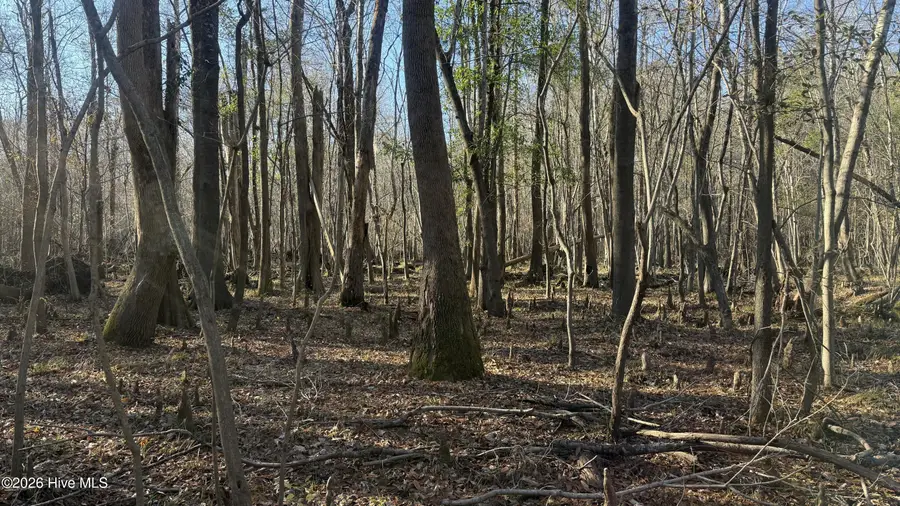 00 Shaw Highway, Rocky Point, NC 28457 - #3