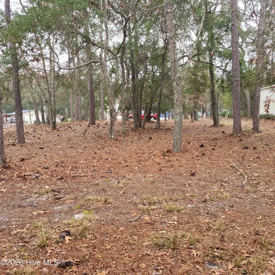 3317 Marlin Drive, Bolivia, NC 28422 - #2