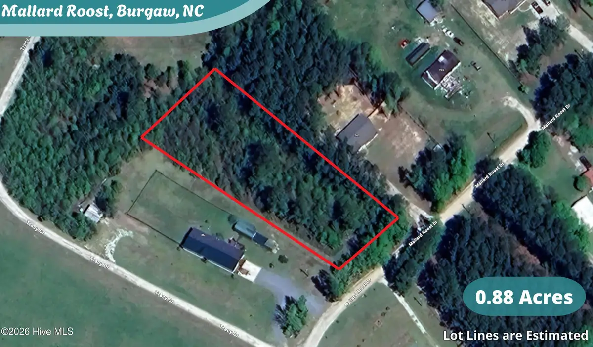 Lot 20 Mallard Roost Drive, Burgaw, NC 28425 - #1