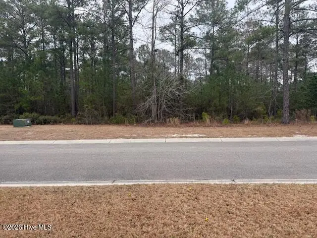 3781 Hallmark Road Ne, Leland, NC 28451 - #2