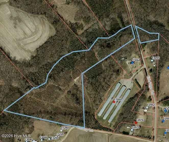 00 Ethridge Road, Whitakers, NC 27891 - #1