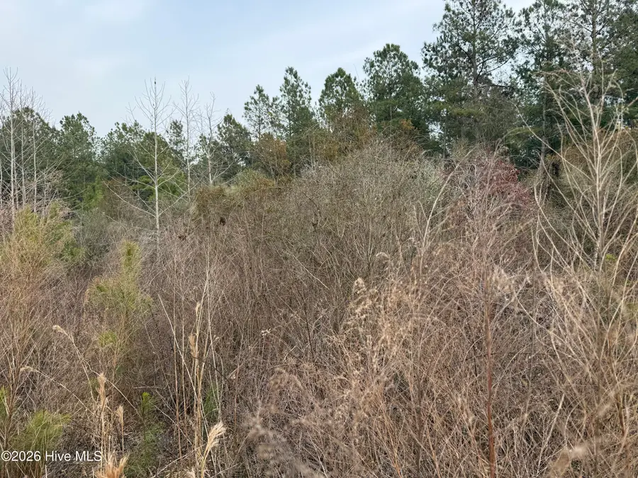 0 Tuten Road, Aurora, NC 27806 - #3