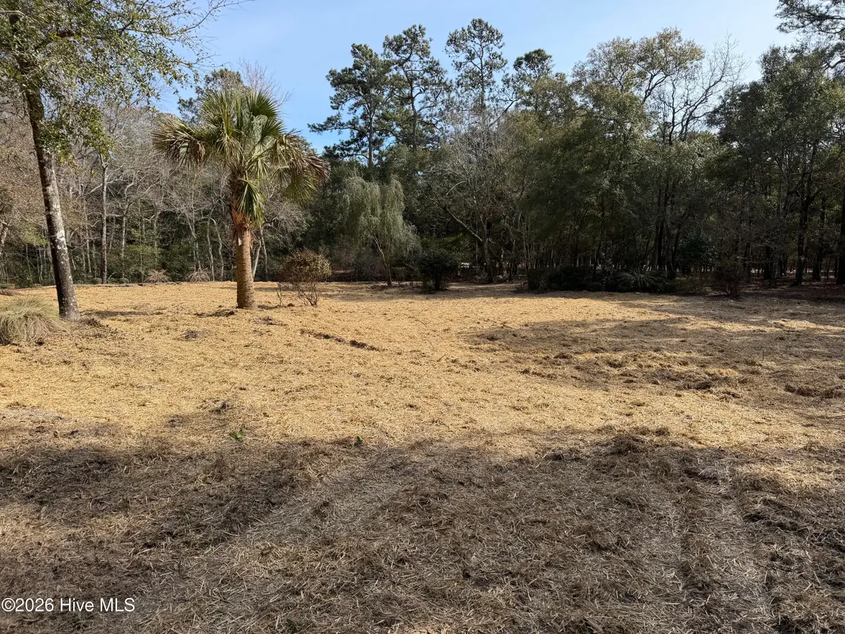 591 Valverda Street, Supply, NC 28462 - #1