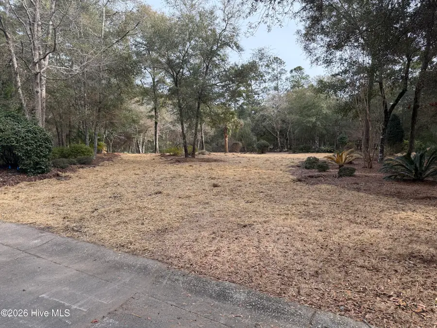 591 Valverda Street, Supply, NC 28462 - #2