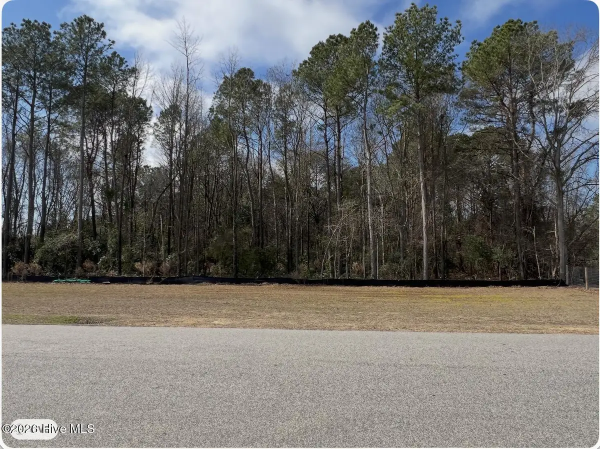 0 Pierce Street, Clinton, NC 28328 - #1