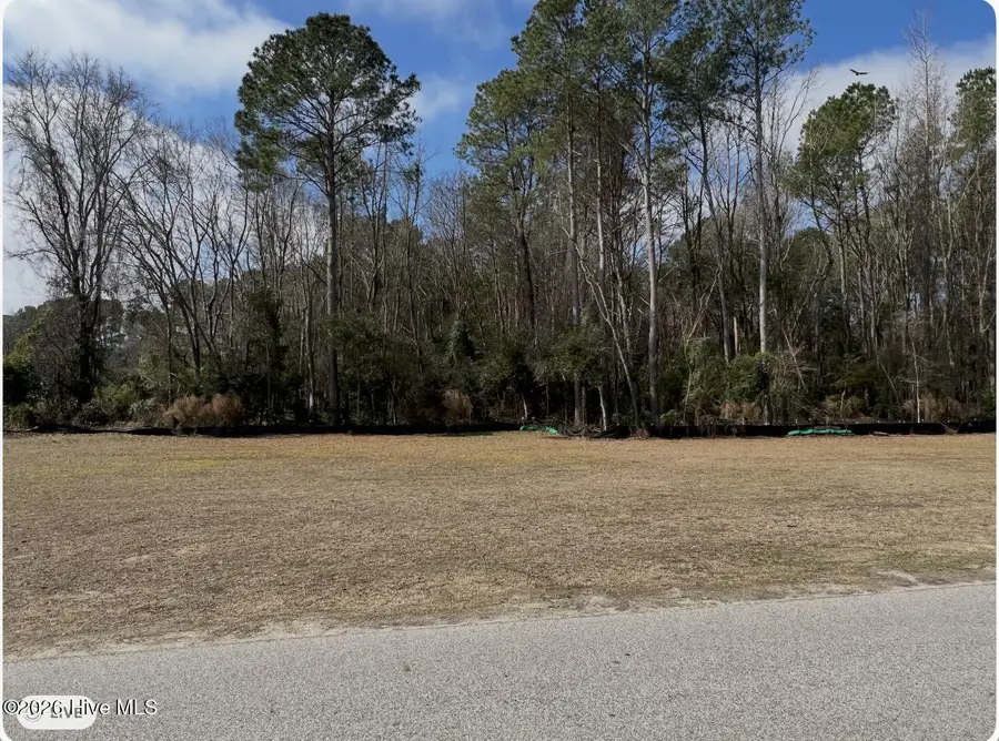 0 Pierce Street, Clinton, NC 28328 - #2