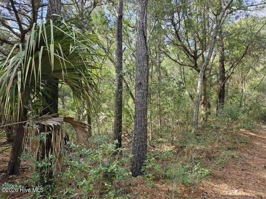 5 Musket Court, Bald Head Island, NC 28461 - #3