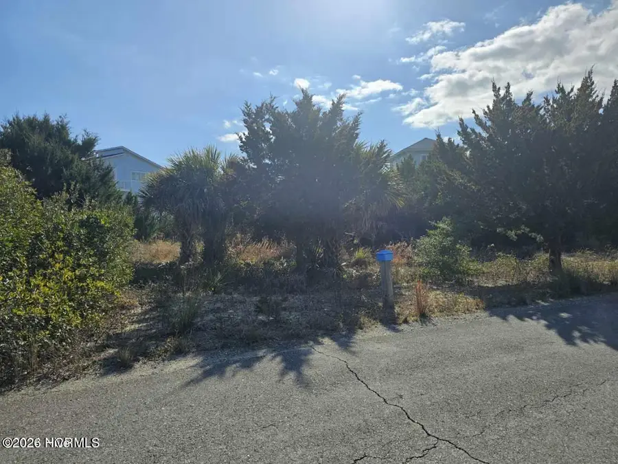 22 Black Skimmer Trail, Bald Head Island, NC 28461 - #3