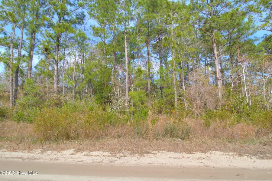 2890 Bird Drive Sw, Shallotte, NC 28470 - #2