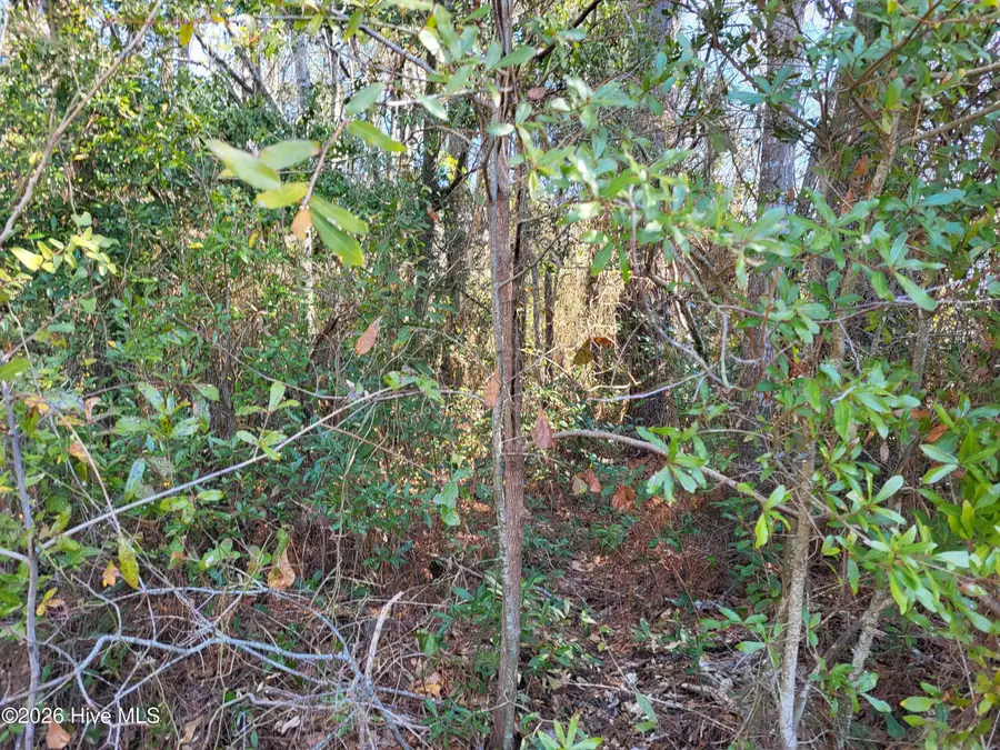 2836 Shell Landing Road Sw, Supply, NC 28462 - #3