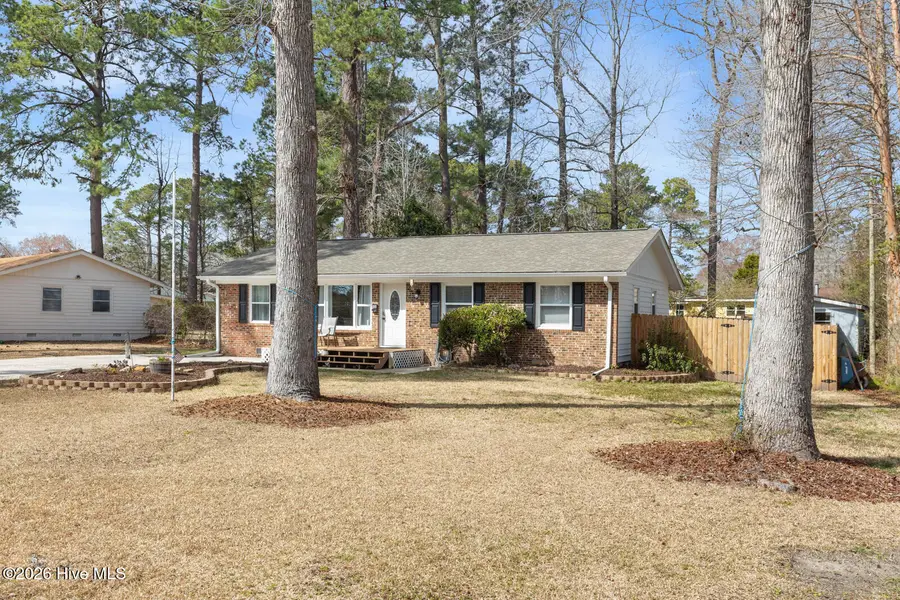 202 Pineview Street, Havelock, NC 28532 - #2