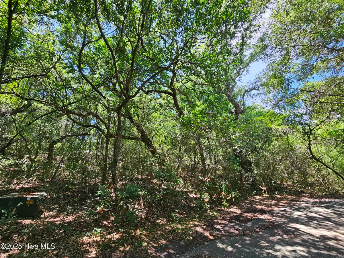 5 Brunswick Court, Bald Head Island, NC 28461 - #1