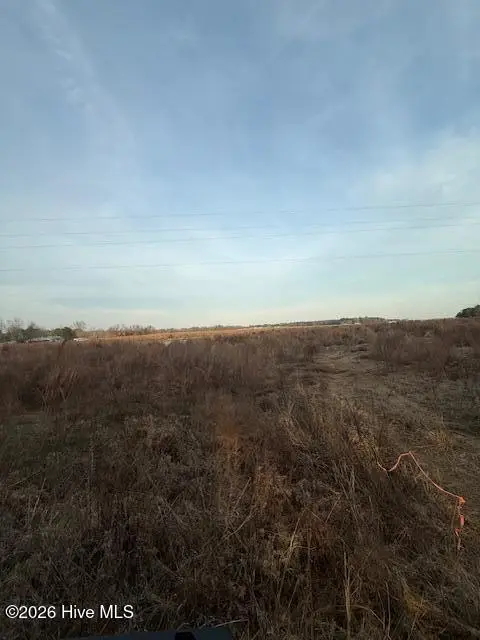 294 Waller Road, Mount Olive, NC 28365 - #1