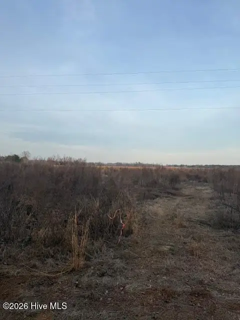 294 Waller Road, Mount Olive, NC 28365 - #2