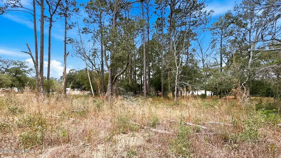 109 Yaupon Dr Exd, Southport, NC 28461 - #2