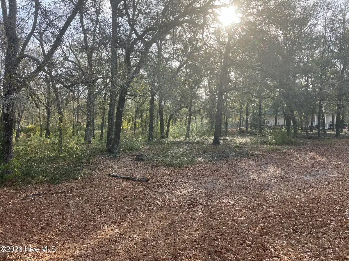 2172 Clambake Court Sw, Supply, NC 28462 - #1