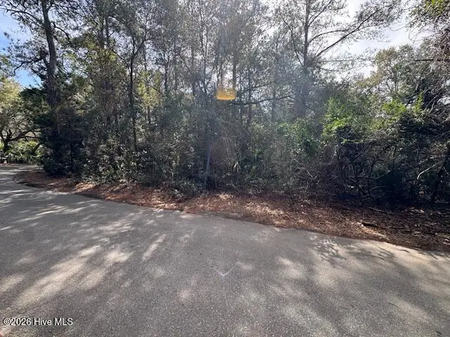 4 Dowitcher Trail, Bald Head Island, NC 28461 - #1