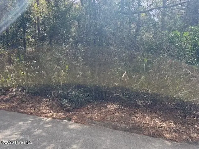 4 Dowitcher Trail, Bald Head Island, NC 28461 - #2