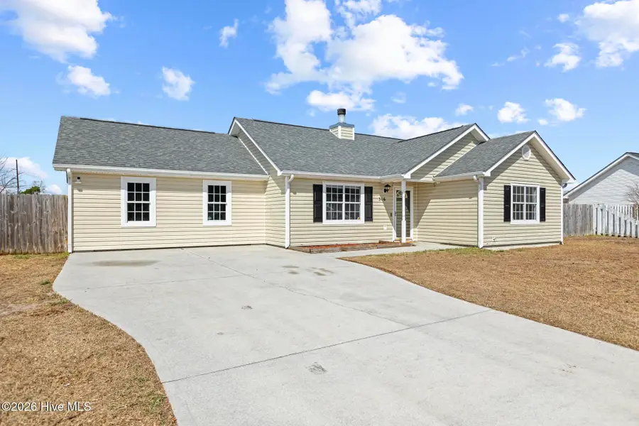 316 Josie Court, Hubert, NC 28539 - #2