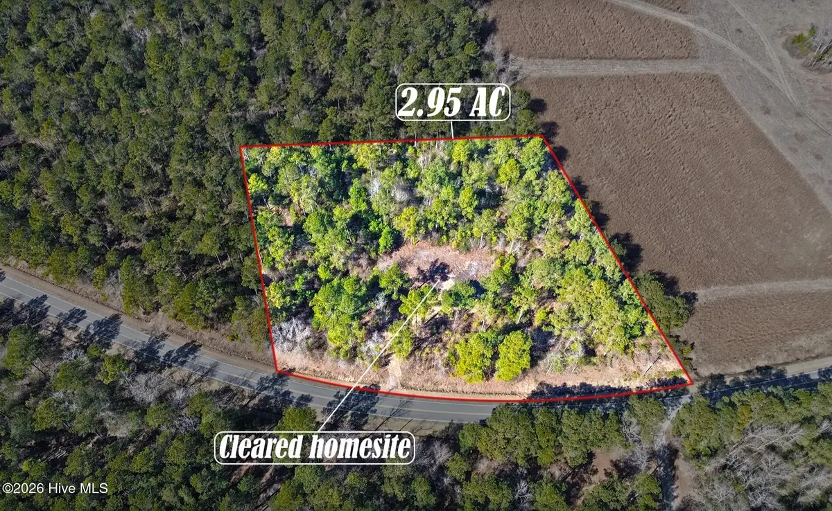 1827 Lightwood Bridge Road, Wallace, NC 28466 - #1