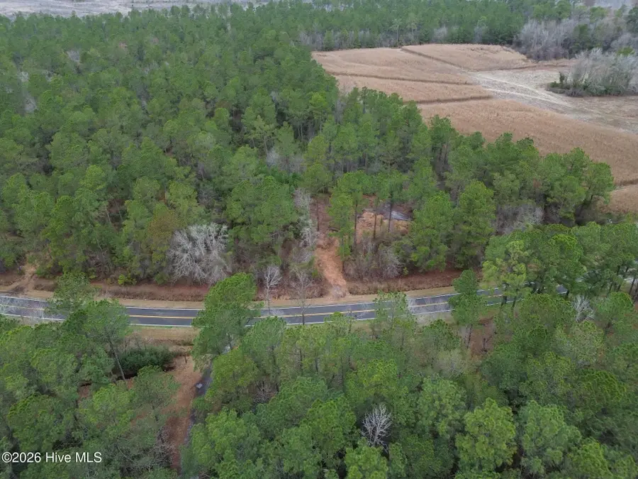 1827 Lightwood Bridge Road, Wallace, NC 28466 - #3