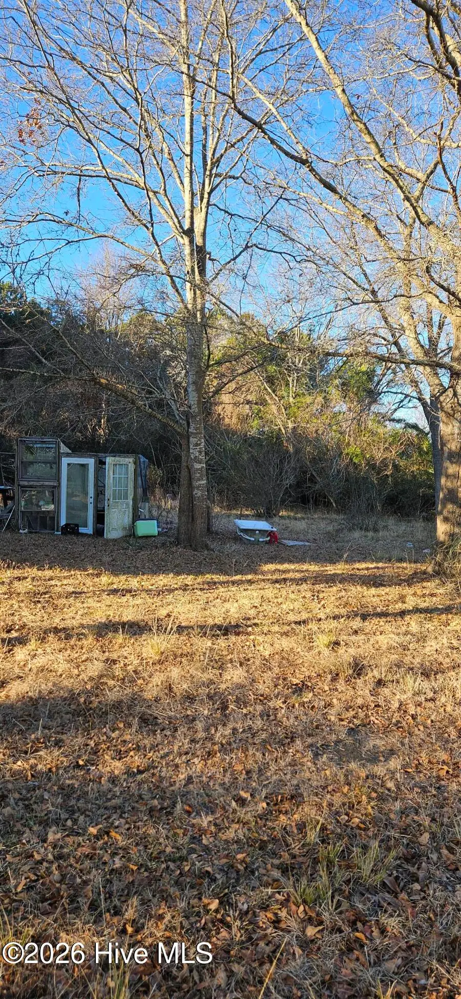 788 Grandy Road, Grandy, NC 27939 - #3