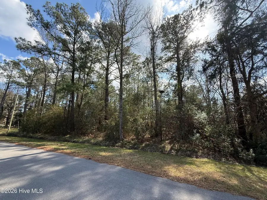 116 Wackena Way, Beaufort, NC 28516 - #3