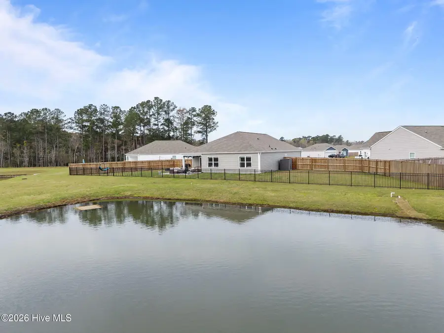 6220 Centipede Place, Castle Hayne, NC 28429 - #2