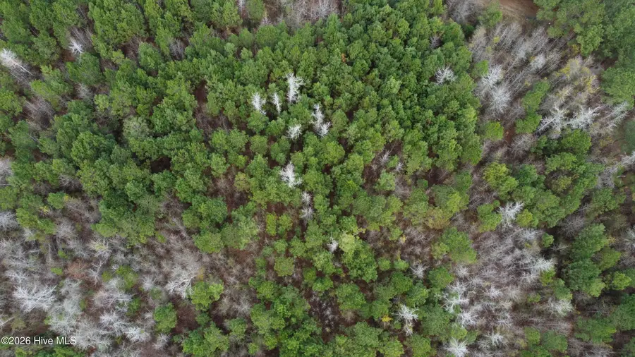 19115 Andrew Jackson Highway E, Bolton, NC 28423 - #3