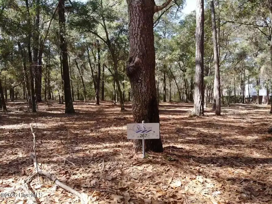 721 Lagare Lane Sw, Supply, NC 28462 - #3