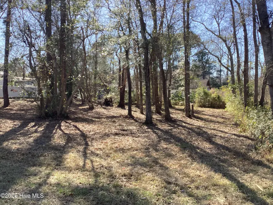 2393 Shoreline Drive Sw, Supply, NC 28462 - #3