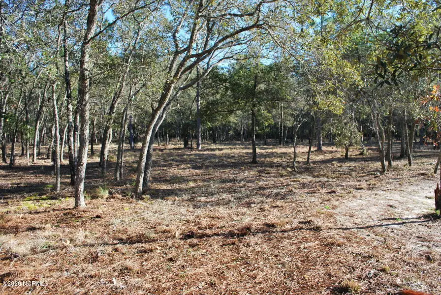 3581 Concordia Avenue Sw, Supply, NC 28462 - #1