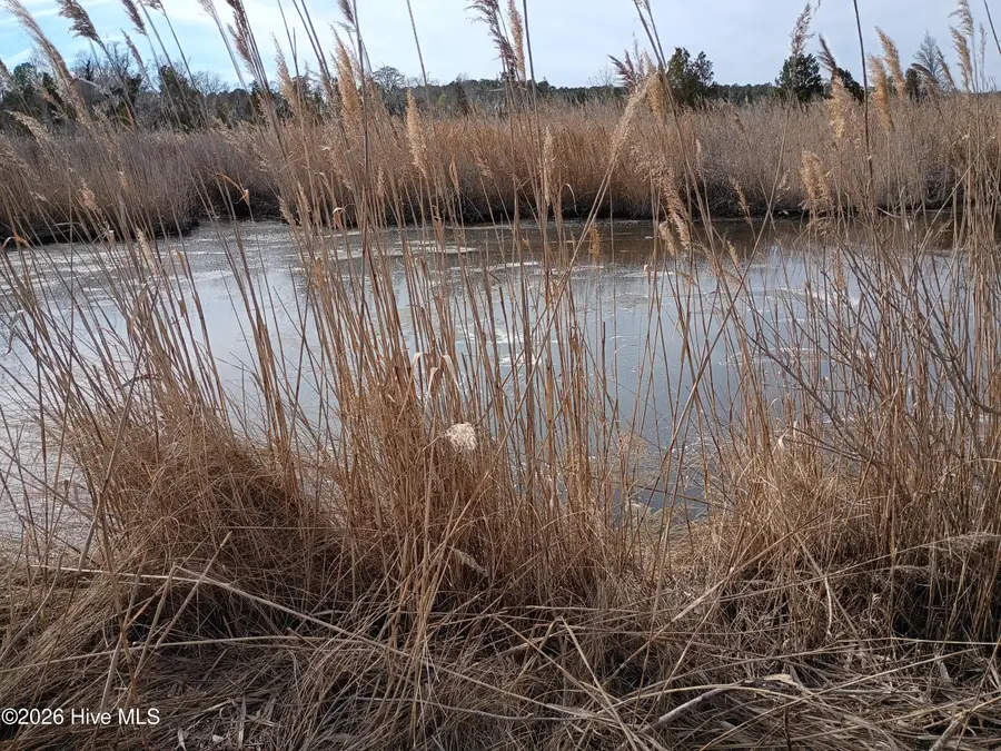 25264 2nd Street, Aurora, NC 27806 - #2