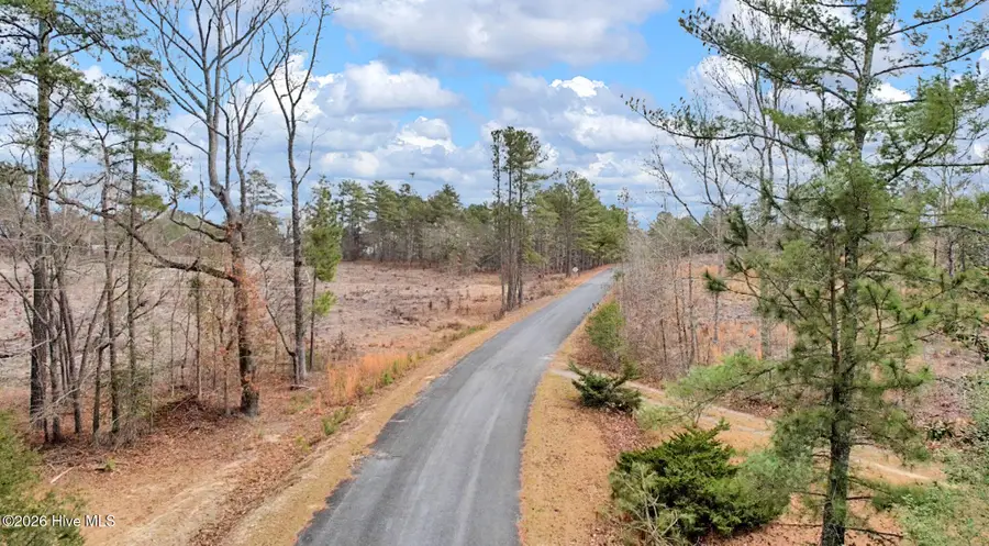 Lot 3 Simpson Road, Carthage, NC 28327 - #3