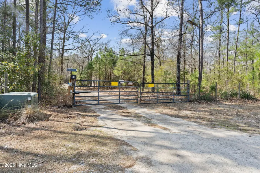 460 Oakey Point Road, Hampstead, NC 28443 - #2