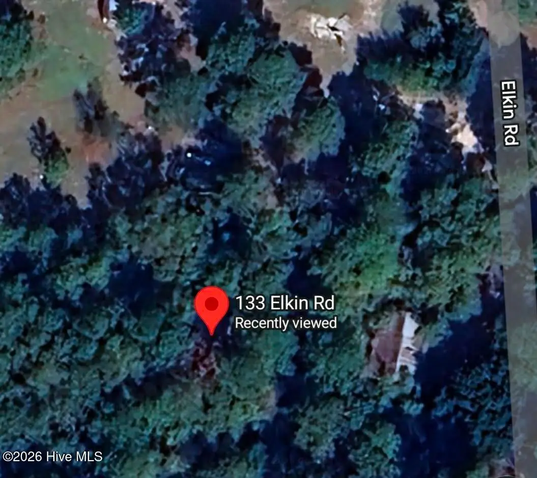 132 Elkin Road, Dudley, NC 28333 - #1