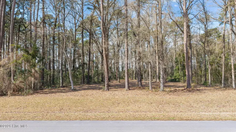 16 Winfield Lane, Pinetown, NC 27865 - #2