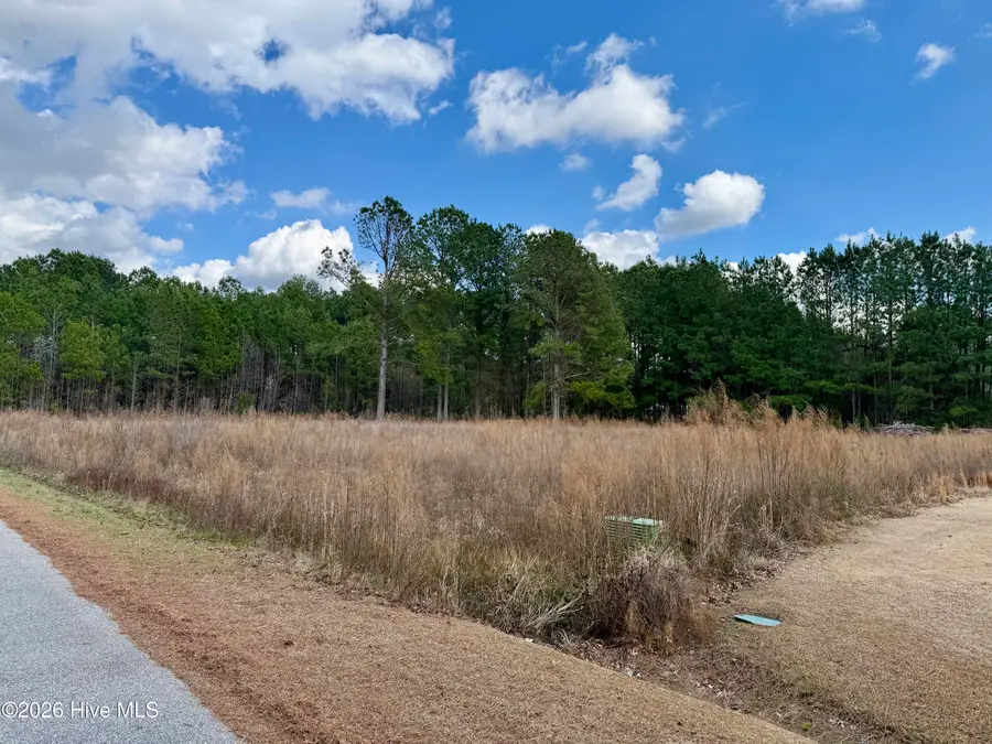 100 Cliffwell Drive, Goldsboro, NC 27530 - #2