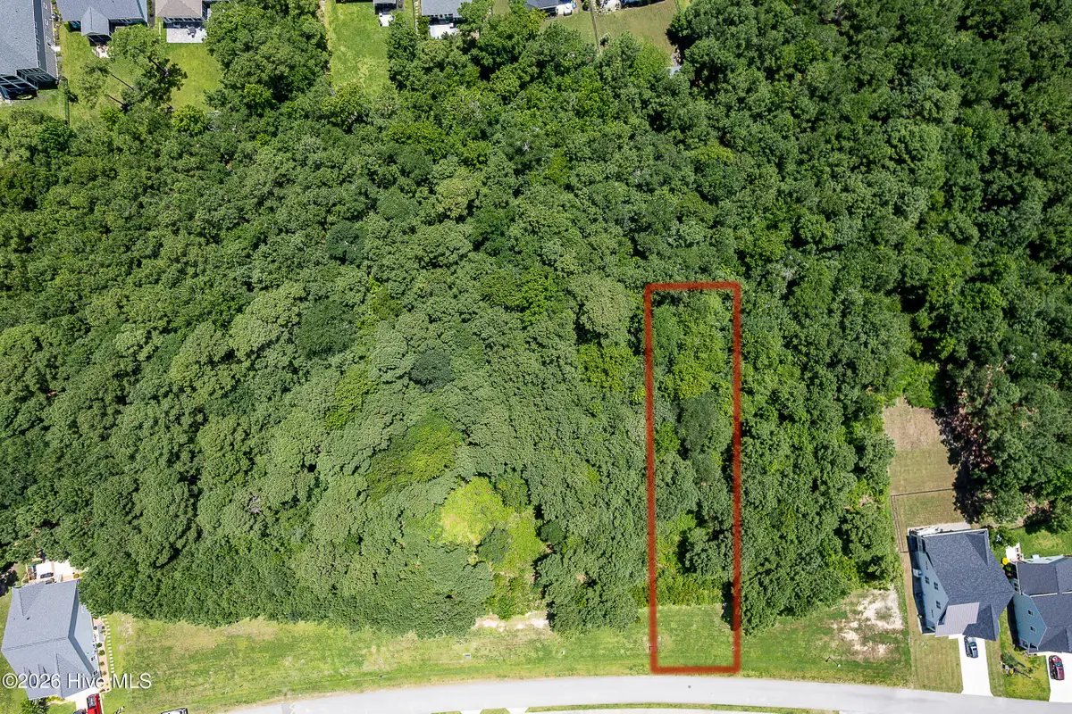 324 Spicer Lake Drive, Holly Ridge, NC 28445 - #1