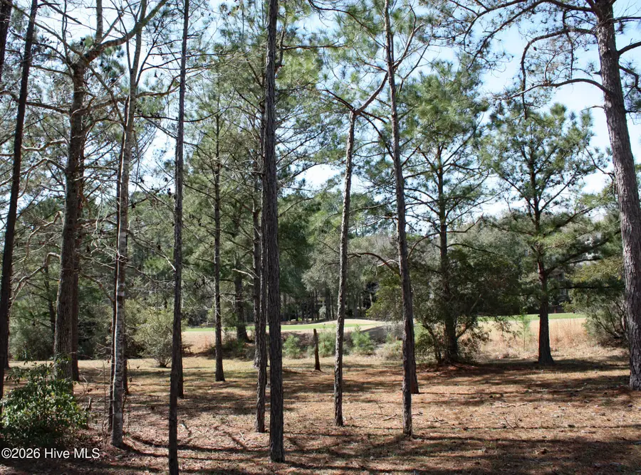 569 Lindgrove Place Sw, Ocean Isle Beach, NC 28469 - #2