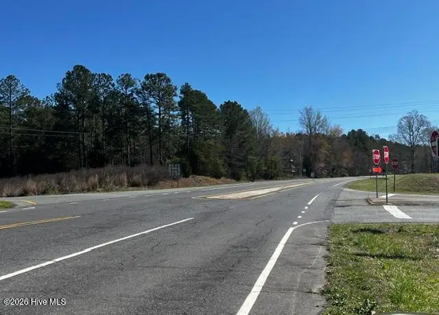 1030 Piney Grove Church Road, Siler City, NC 27344 - #2