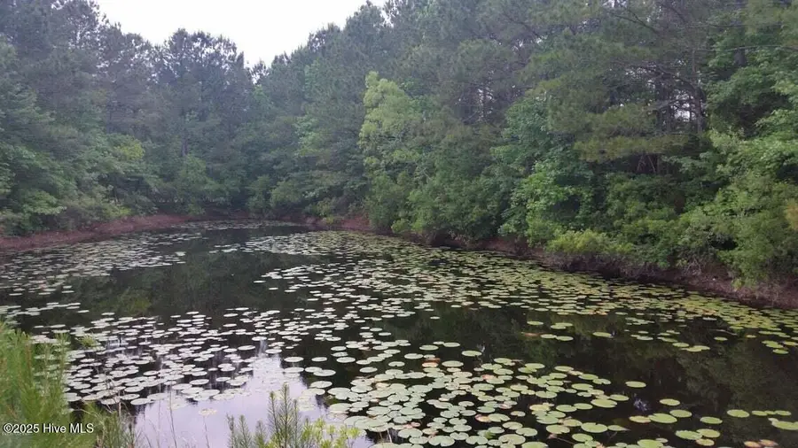 1934 Gordon Acres Drive, Wilmington, NC 28411 - #3