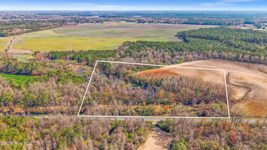 0 Graham Dobson Road, Magnolia, NC 28453 - #3