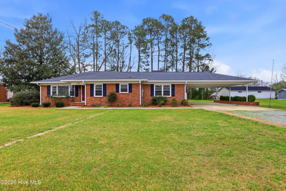 403 Smith Chapel Road, Mount Olive, NC 28365 - #1