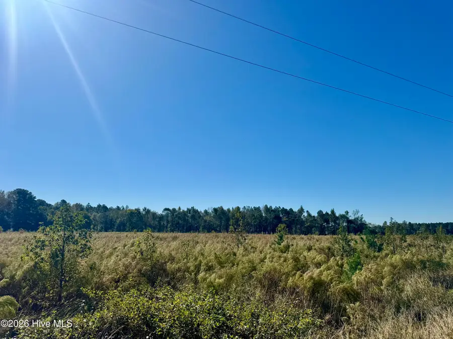 0 Old Fayetteville Road, Garland, NC 28441 - #3