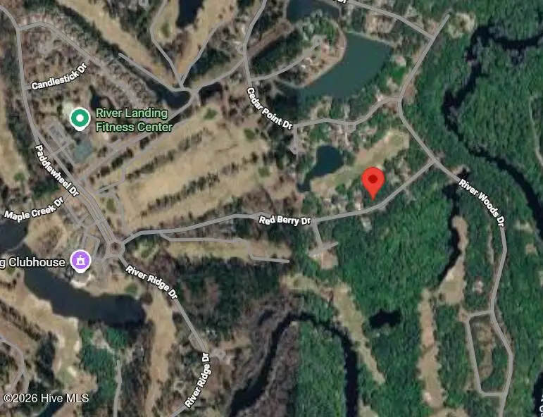 173 Red Berry Drive, Wallace, NC 28466 - #2