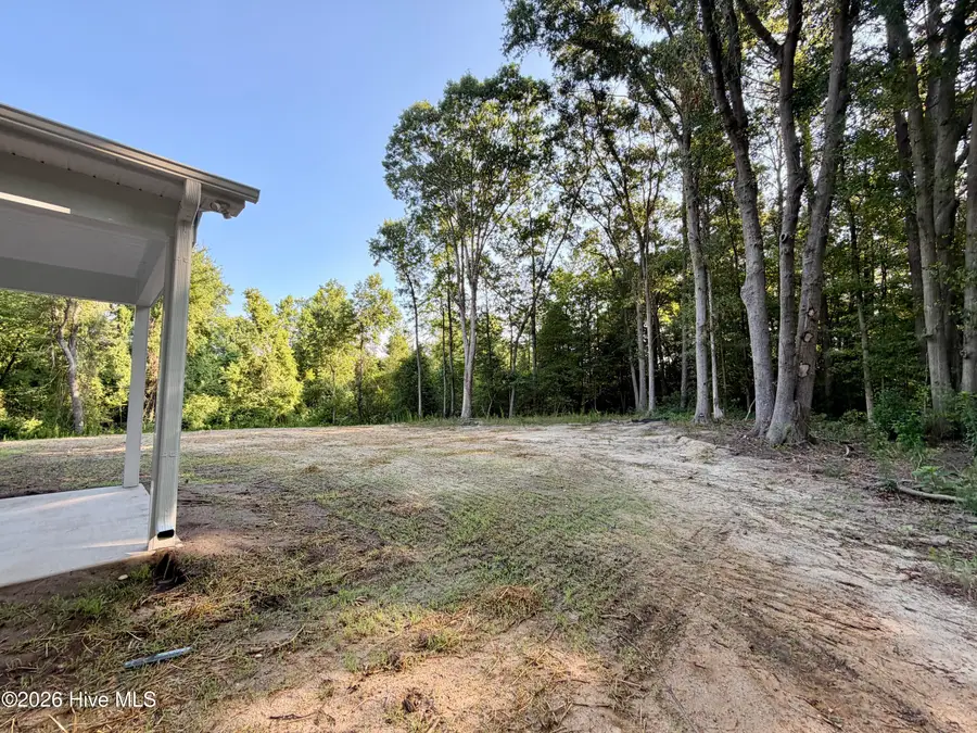 1703 Walnut Run Drive, Deep Run, NC 28525 - #3