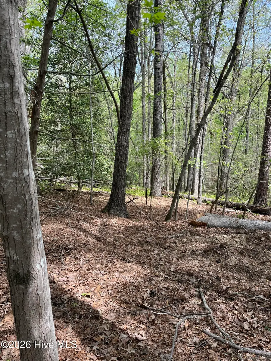 Lot 21 Equestrian Lane, Carthage, NC 28327 - #2