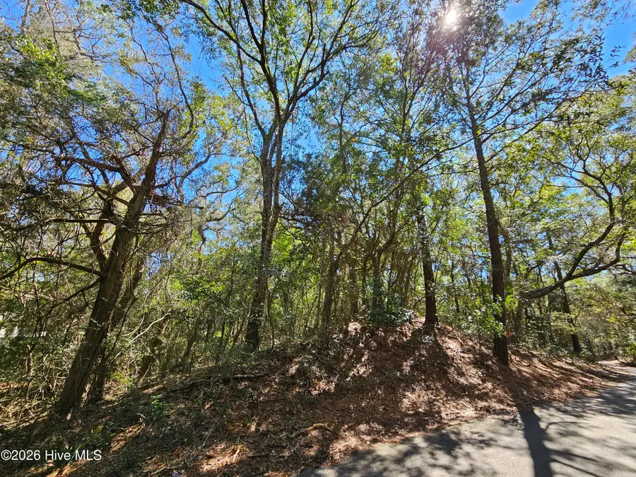 39 Fort Holmes Trail, Bald Head Island, NC 28461 - #2