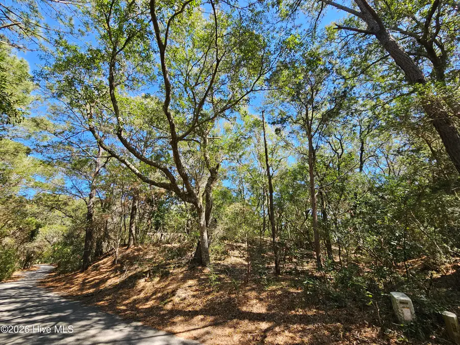 39 Fort Holmes Trail, Bald Head Island, NC 28461 - #3